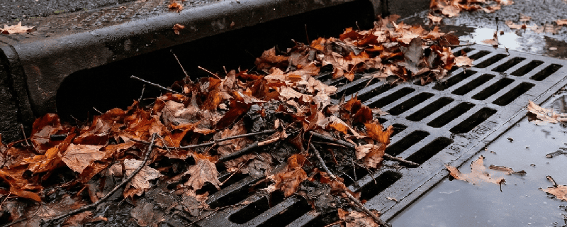 leaves blocking drain